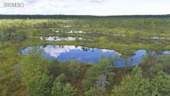 Kemeri Bog Board Walk
