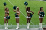 The ROAR of the Jaguars