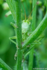 DSC01906
