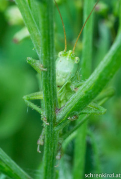 DSC01906