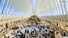 Oculus