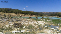 Wadi Darbat