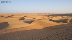 Rimal Al Wahiba