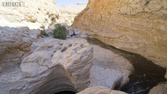 Wadi Bani Khalid