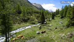am Weg zum Antholzer See