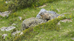 Wandern Hochgrabe