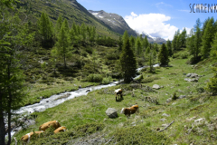 am Weg zum Antholzer See