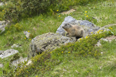 Wandern Hochgrabe