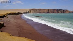 Paracas Halbinsel