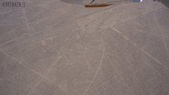 Nazca Linien (Kondor)