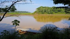 Tambopata Reservat