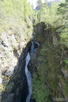 Corrieshalloch Gorge National Nature Reserve