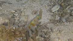 20250129_190455