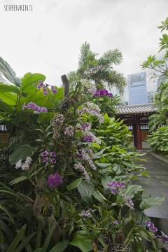 Buddha Tooth Relic Temple