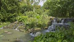 Gardens by the Bay