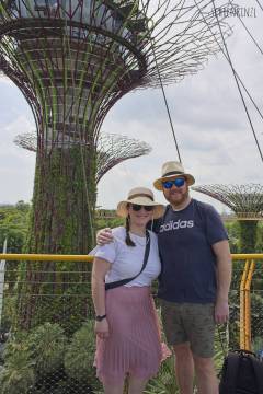 Supertree Grove