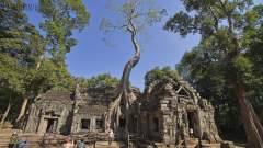 Ta Prohm