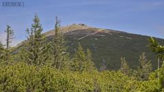 Schneekoppe