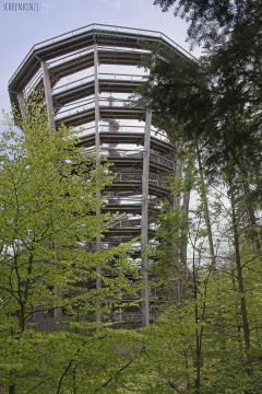 Baumwipfelpfad Riesengebirge