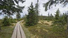 Wandern im Riesengebirge