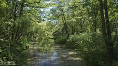 Großer Tiergarten Berlin