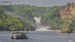 Murchison Falls