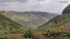 Unterwegs in Uganda