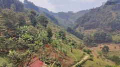 Ausblick Bwindi