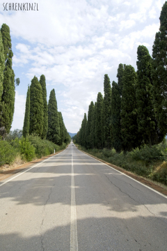 Viale Dei Cipressi - Toskana